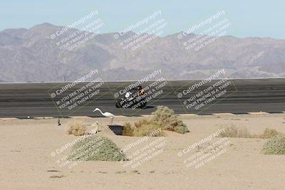 media/Oct-26-2025-Race Pace (Sun) [[c1447ca738]]/Non Verified (1st 20 Minutes of every Hour)/1-Bowl (915am)/